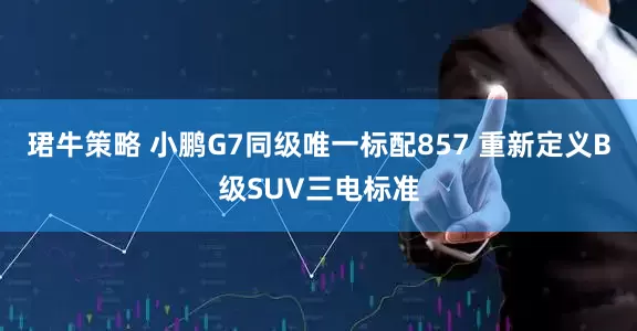 珺牛策略 小鹏G7同级唯一标配857 重新定义B级SUV三电标准