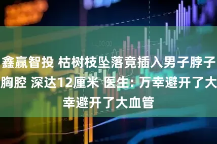 鑫赢智投 枯树枝坠落竟插入男子脖子直达胸腔 深达12厘米 医生: 万幸避开了大血管