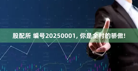 股配所 编号20250001, 你是全村的骄傲!