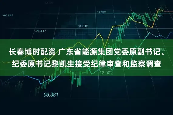 长春博时配资 广东省能源集团党委原副书记、纪委原书记黎凯生接受纪律审查和监察调查
