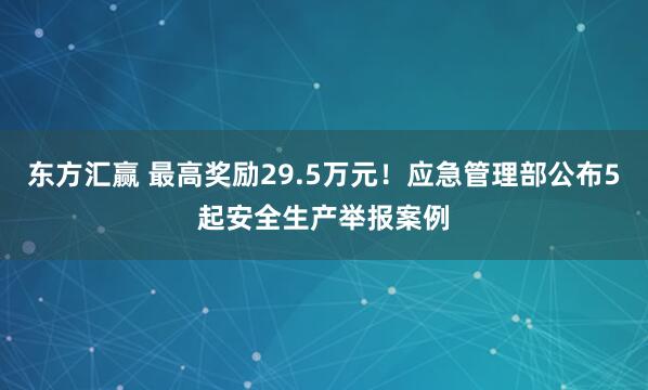 东方汇赢 最高奖励29.5万元！应急管理部公布5起安全生产举报案例